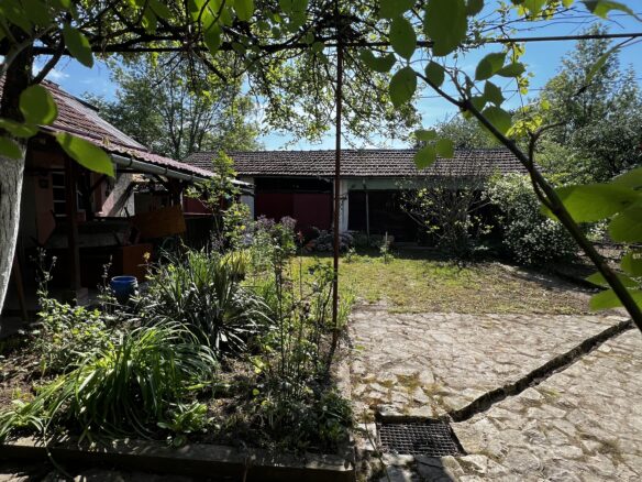 Arad – Sat. Pescari – Casa Mare și Frumoasă, Cu Grădină și Pomi Fructiferi