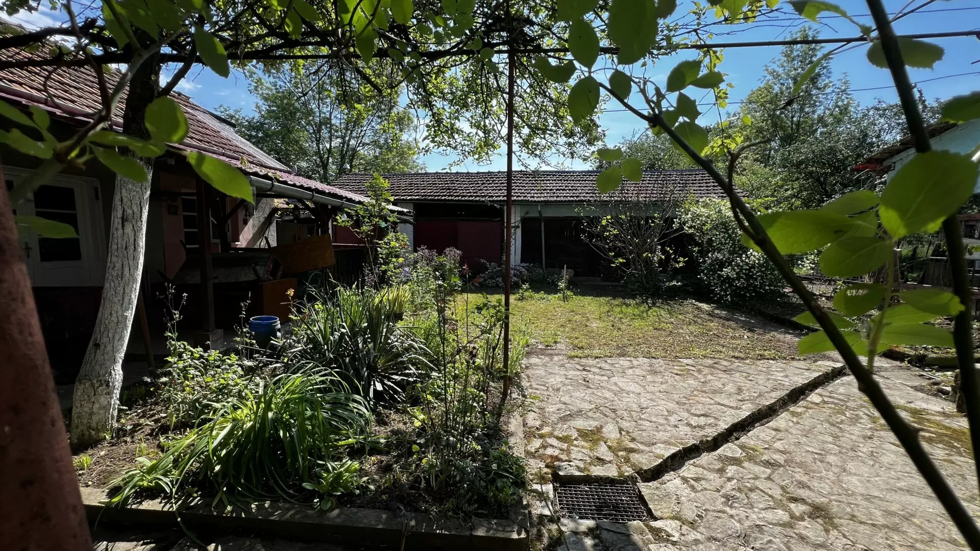 Arad – Sat. Pescari – Casa Mare și Frumoasă, Cu Grădină și Pomi Fructiferi