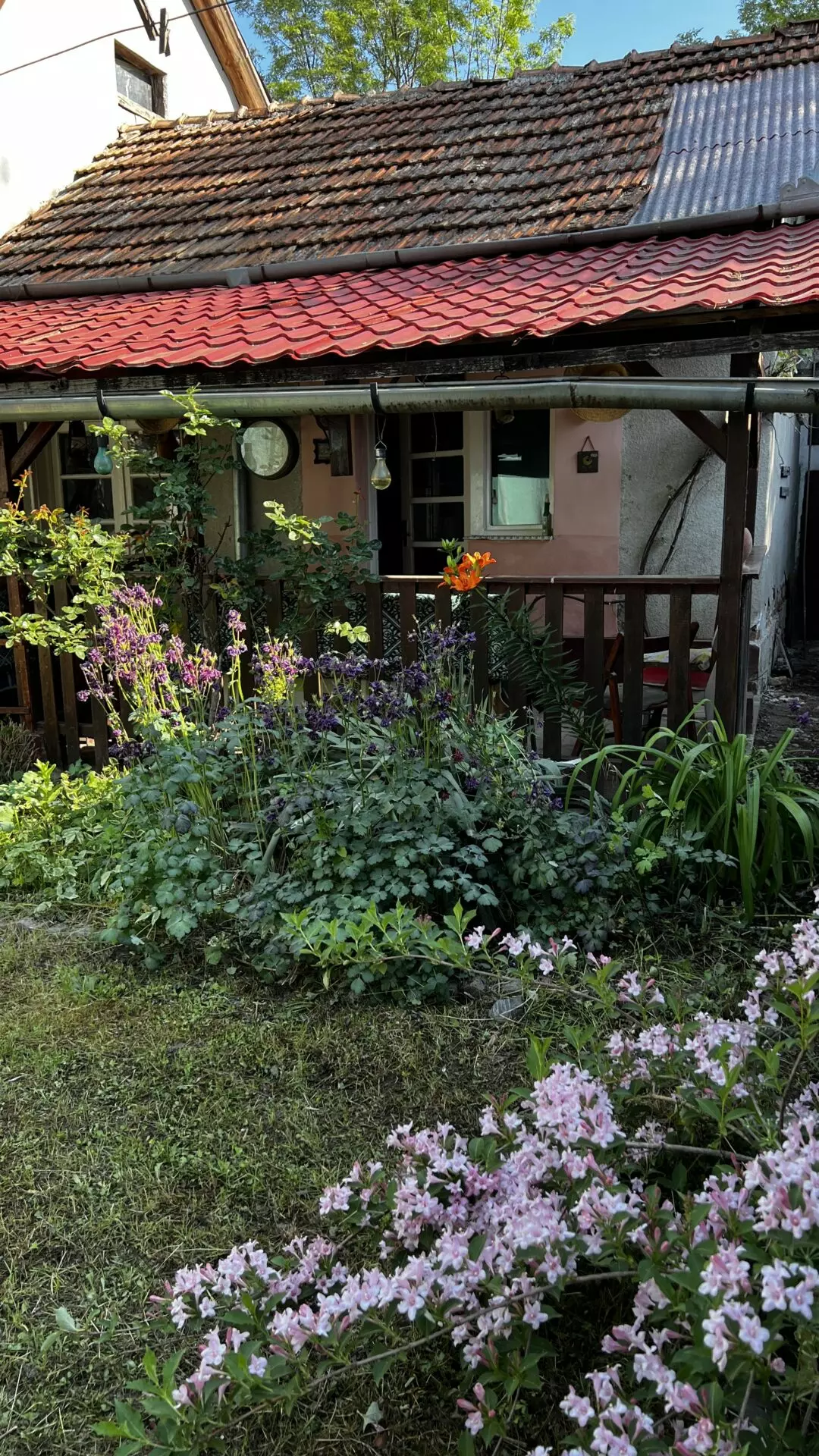 Arad – Sat. Pescari – Casa Mare și Frumoasă, Cu Grădină și Pomi Fructiferi