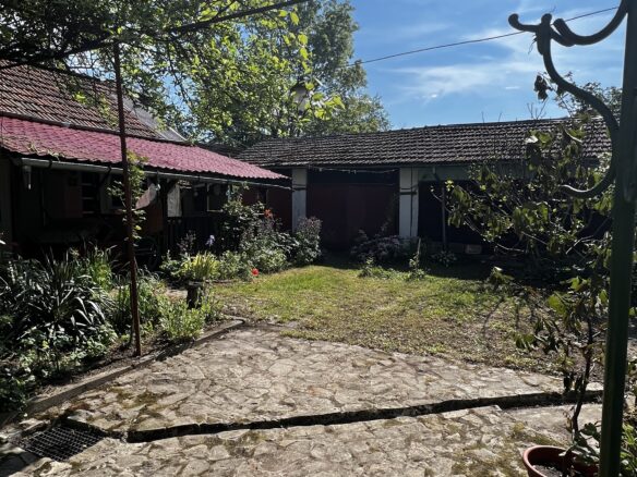 Arad – Sat. Pescari – Casa Mare și Frumoasă, Cu Grădină și Pomi Fructiferi
