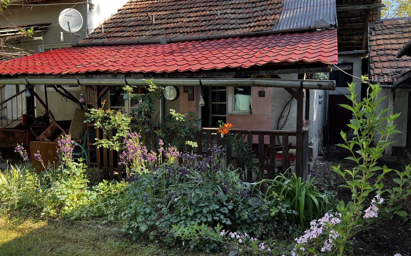 Arad – Sat. Pescari – Casa Mare și Frumoasă, Cu Grădină și Pomi Fructiferi