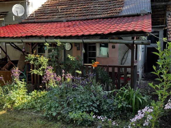 Arad – Sat. Pescari – Casa Mare și Frumoasă, Cu Grădină și Pomi Fructiferi