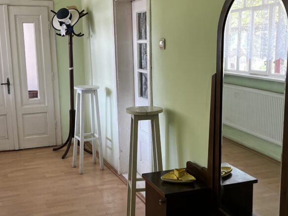 Arad – Sat. Pescari – Casa Mare și Frumoasă, Cu Grădină și Pomi Fructiferi