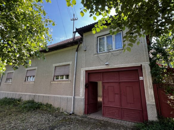Arad – Sat. Pescari – Casa Mare și Frumoasă, Cu Grădină și Pomi Fructiferi