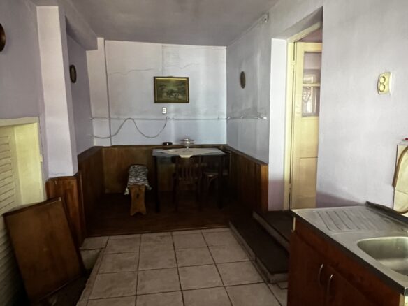 Arad – Sat. Pescari – Casa Mare și Frumoasă, Cu Grădină și Pomi Fructiferi