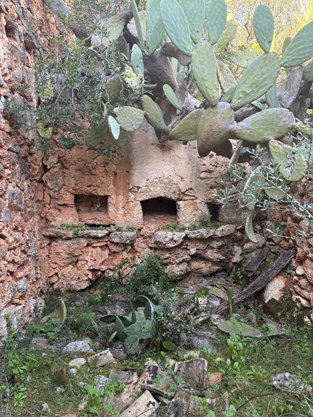 Land Of 35 M² In Costitx, Spain