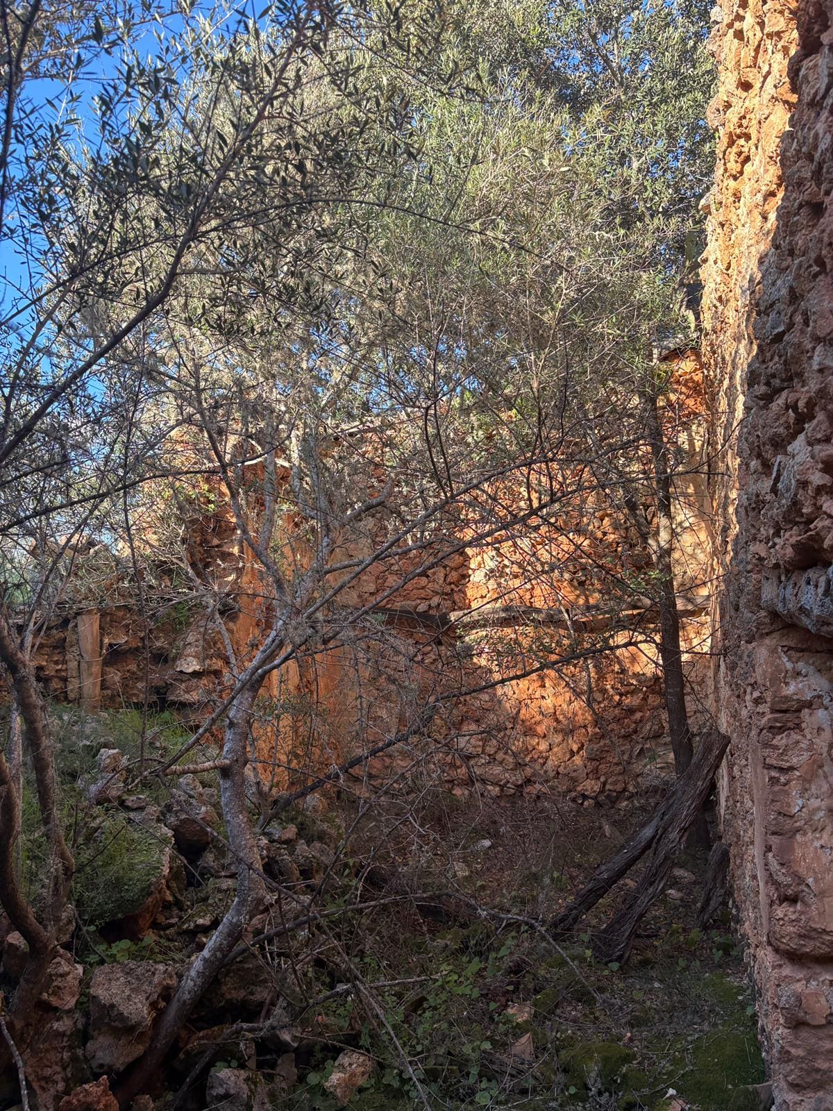 Land Of 35 M² In Costitx, Spain