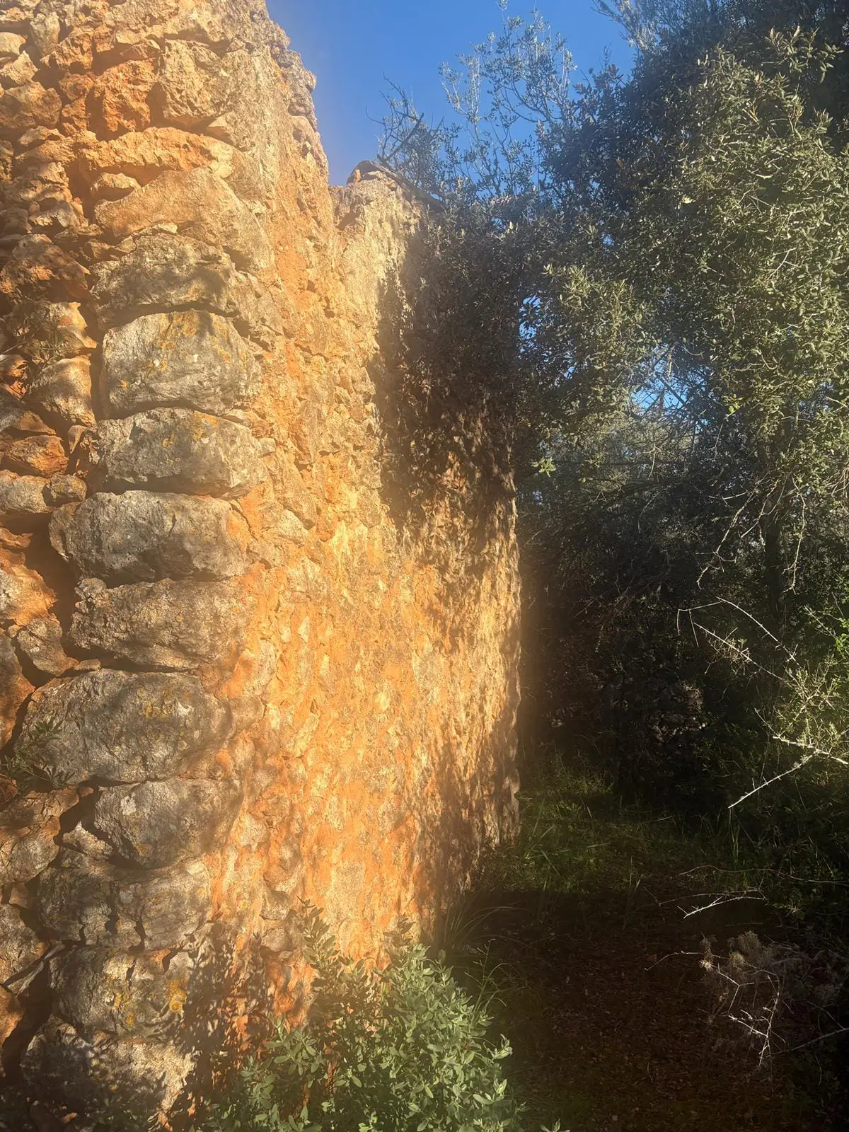 Land Of 35 M² In Costitx, Spain