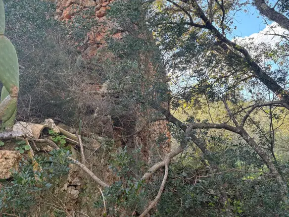 Land In Costitx, Spain (35 M²)