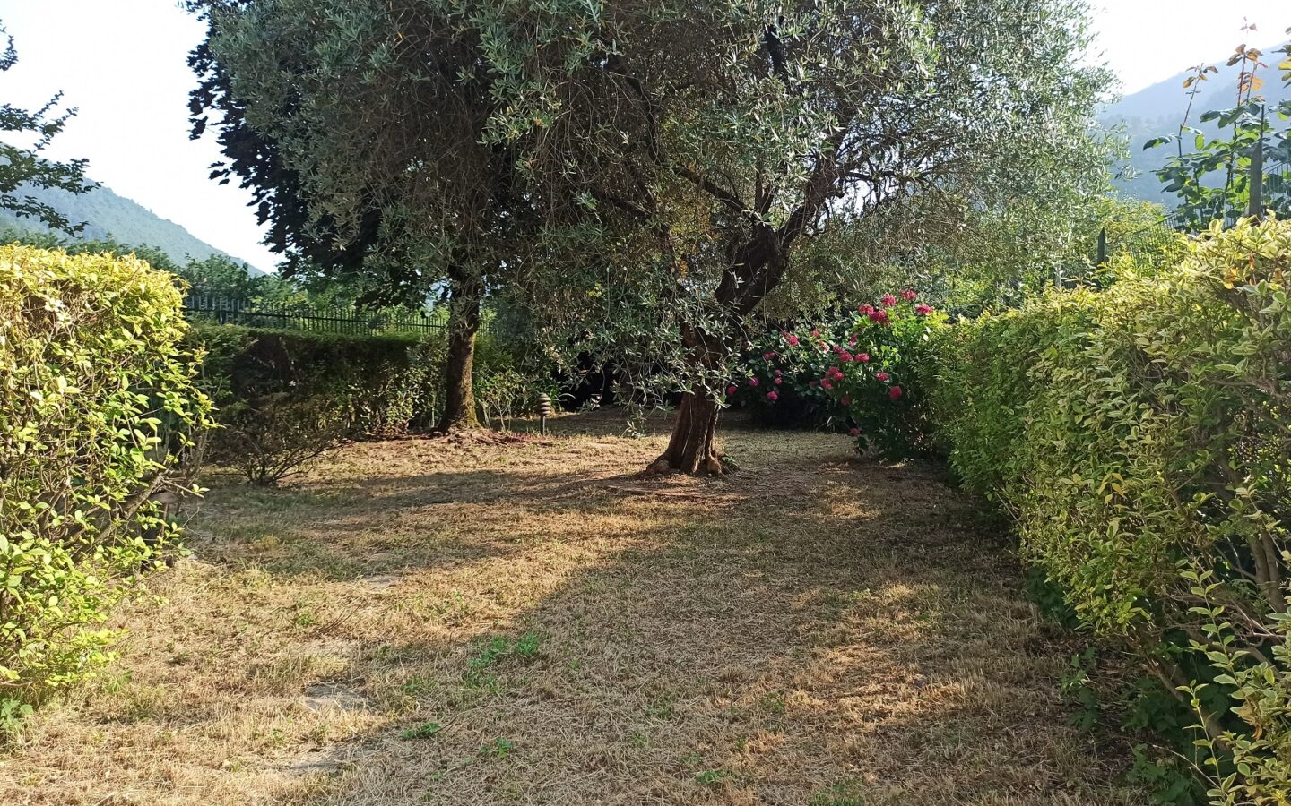 Apartment Of 130 Mq With Garden In Tuscany