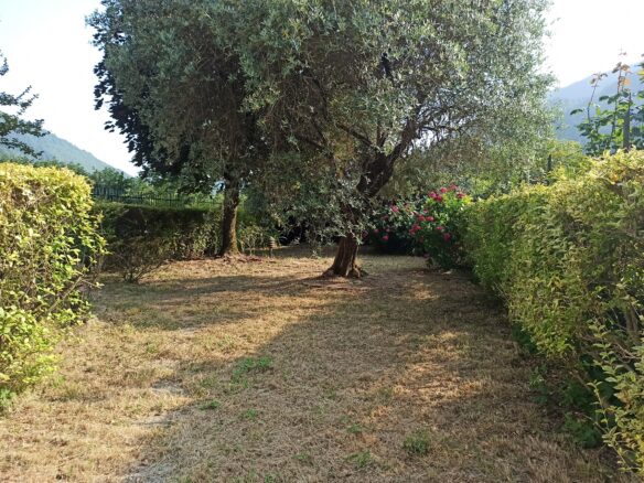Apartment Of 130 Mq With Garden In Tuscany