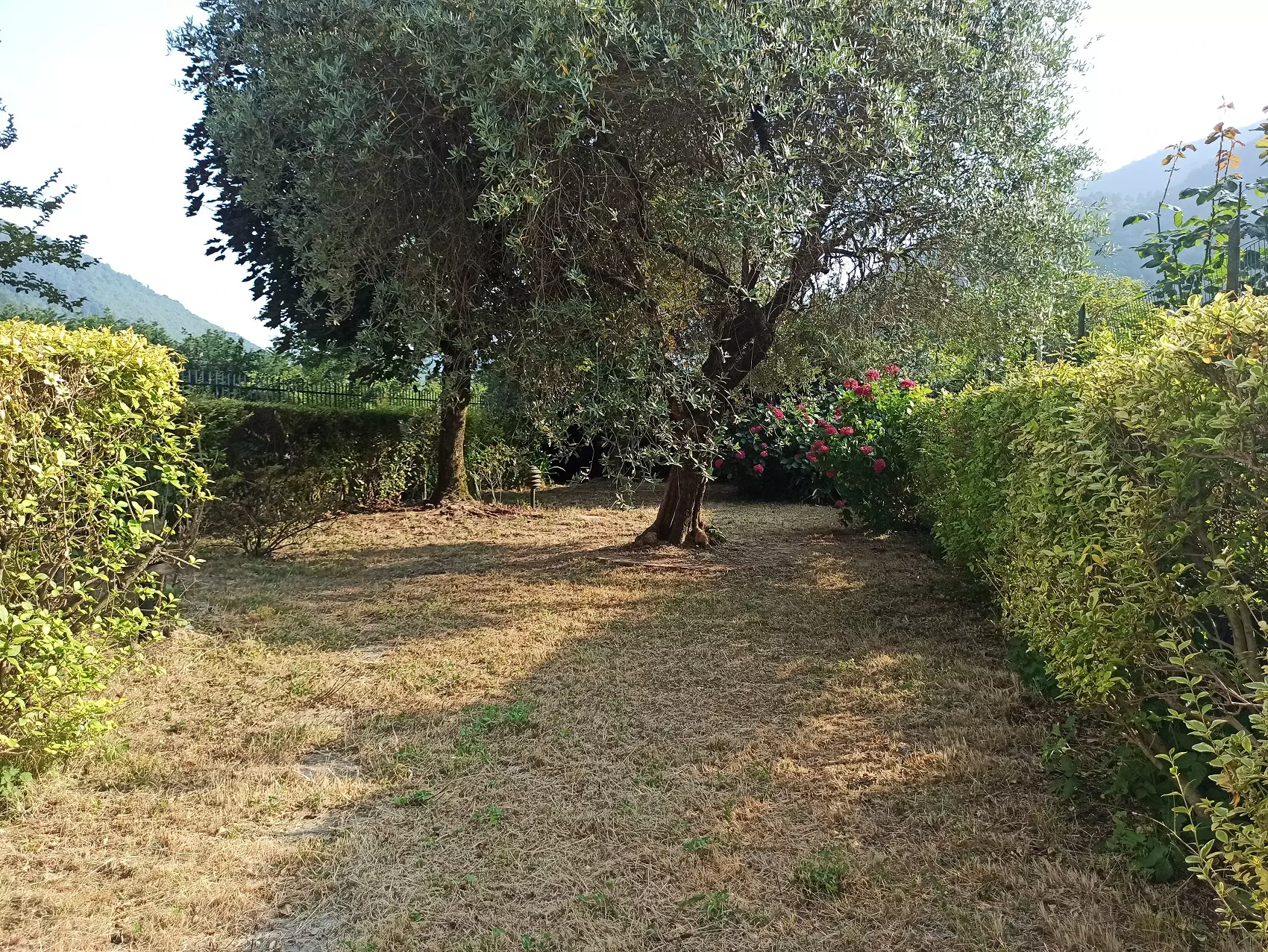 Apartment Of [size] With Garden In Tuscany