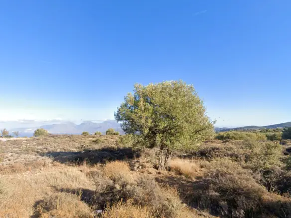 Land In Agios Nikolaos, Greece