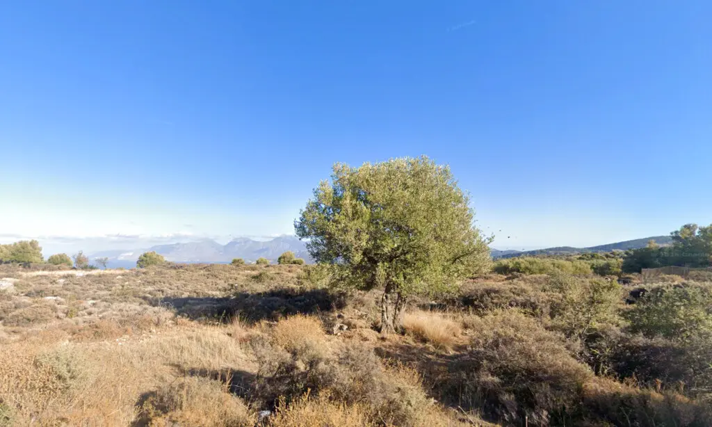 Land Of 6086 M² In Crete