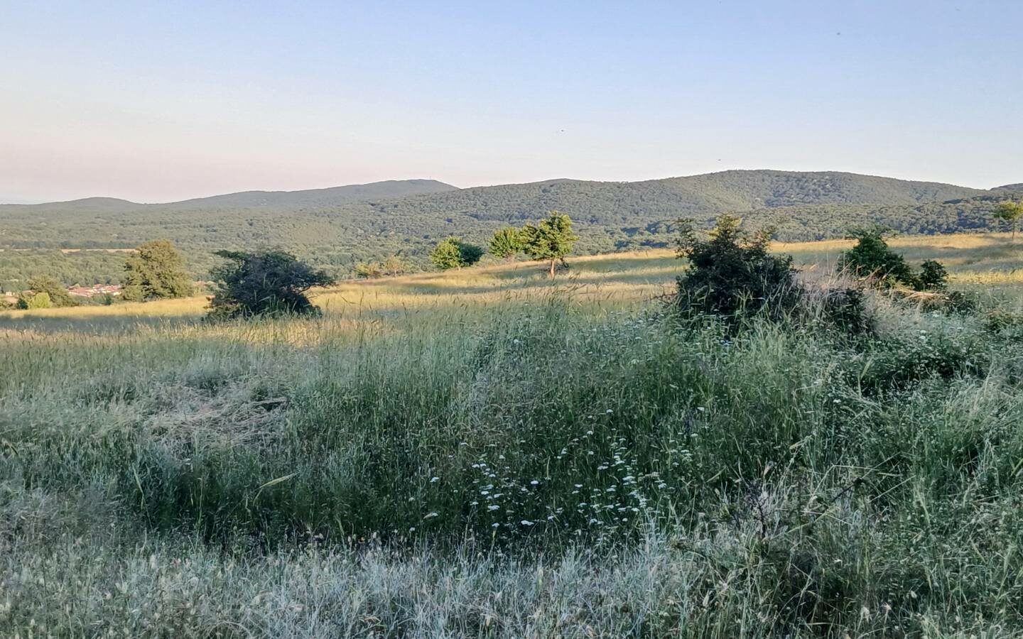 Prime Plot In Banya: An Investor’s Dream