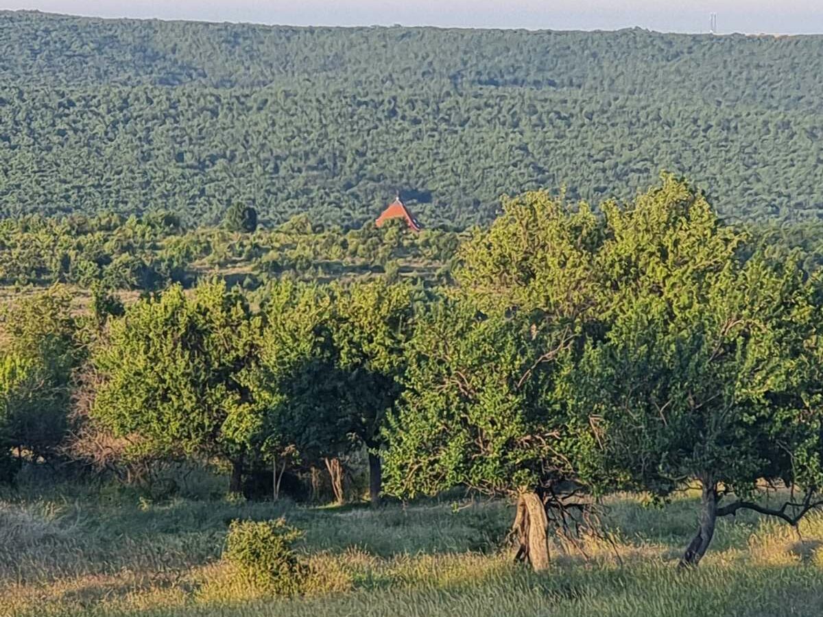 Prime Plot In Banya: An Investor’s Dream