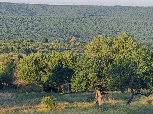 Prime Plot In Banya: An Investor’s Dream