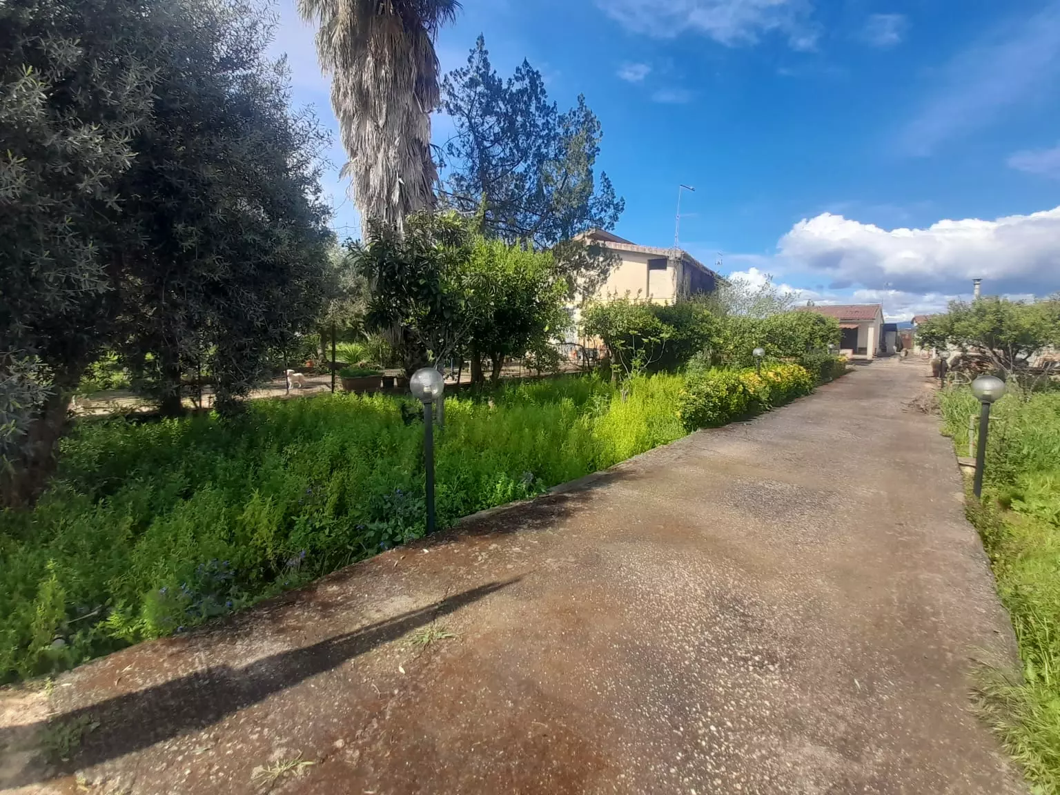 Apartment Of 70 M² With 2 Bedrooms, 1 Bathroom, Balcony In Mottawa