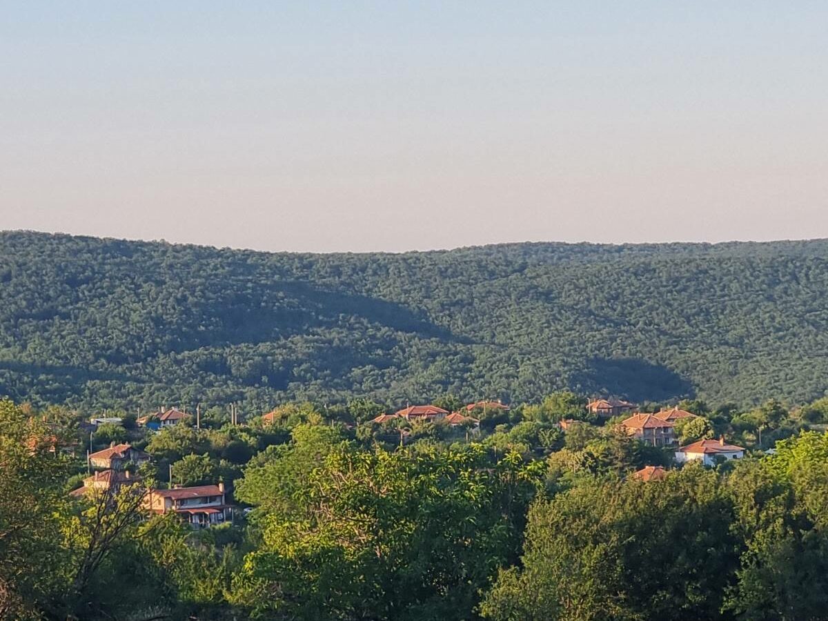 Prime Plot In Banya: An Investor’s Dream