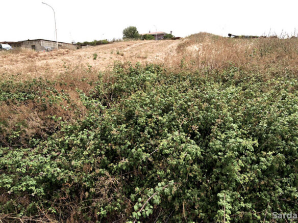 Lots Of 550 M² In New Development In Villanovafranca, Sardinia
