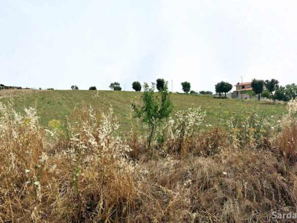 Lots Of 550 M² In New Development In Villanovafranca, Sardinia