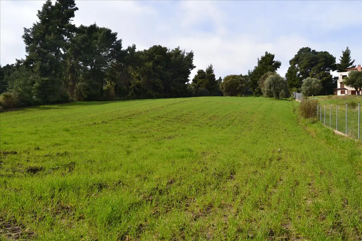 Land Of 6750 M² In Kassandra, Chalkidiki