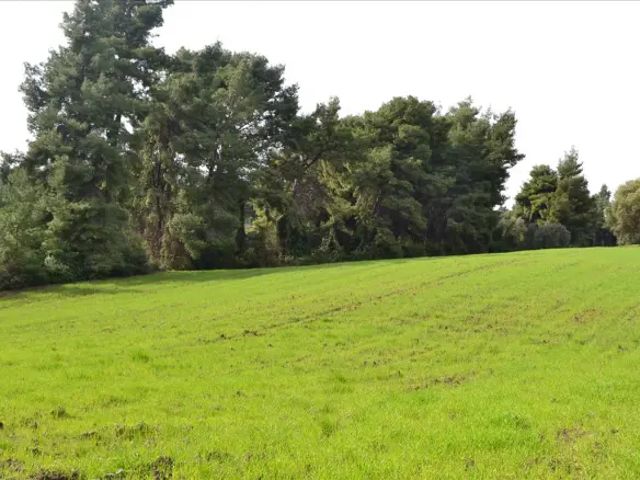 Land Of 6750 M² In Kassandra, Chalkidiki