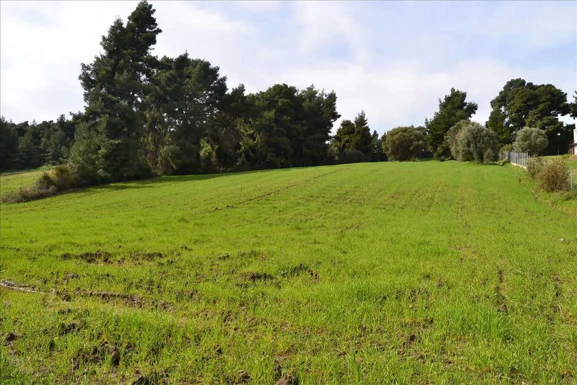 Land Of 6750 M² In Kassandra, Chalkidiki