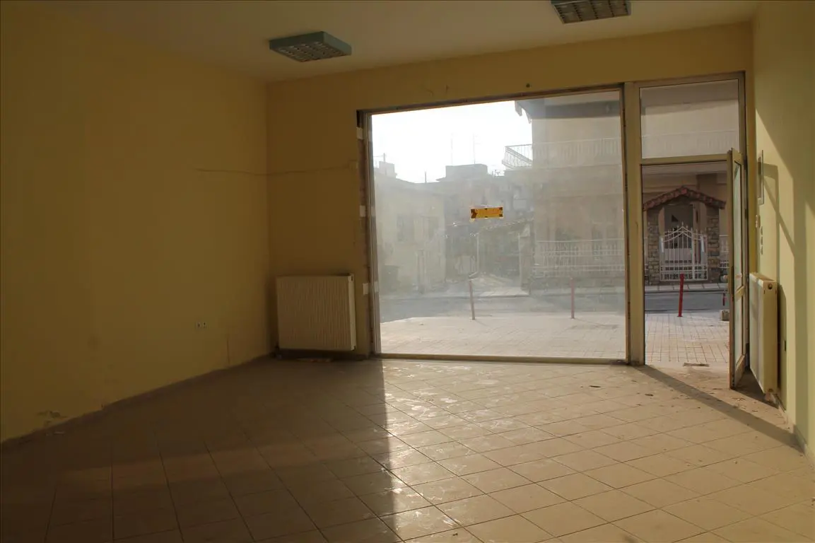 Business Of 50 M² In Chalkidiki