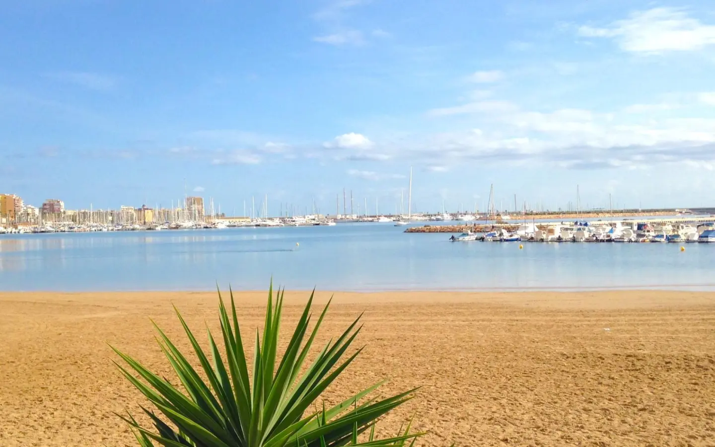 2-bedroom Apartment In Torrevieja, Spain (95 M²)