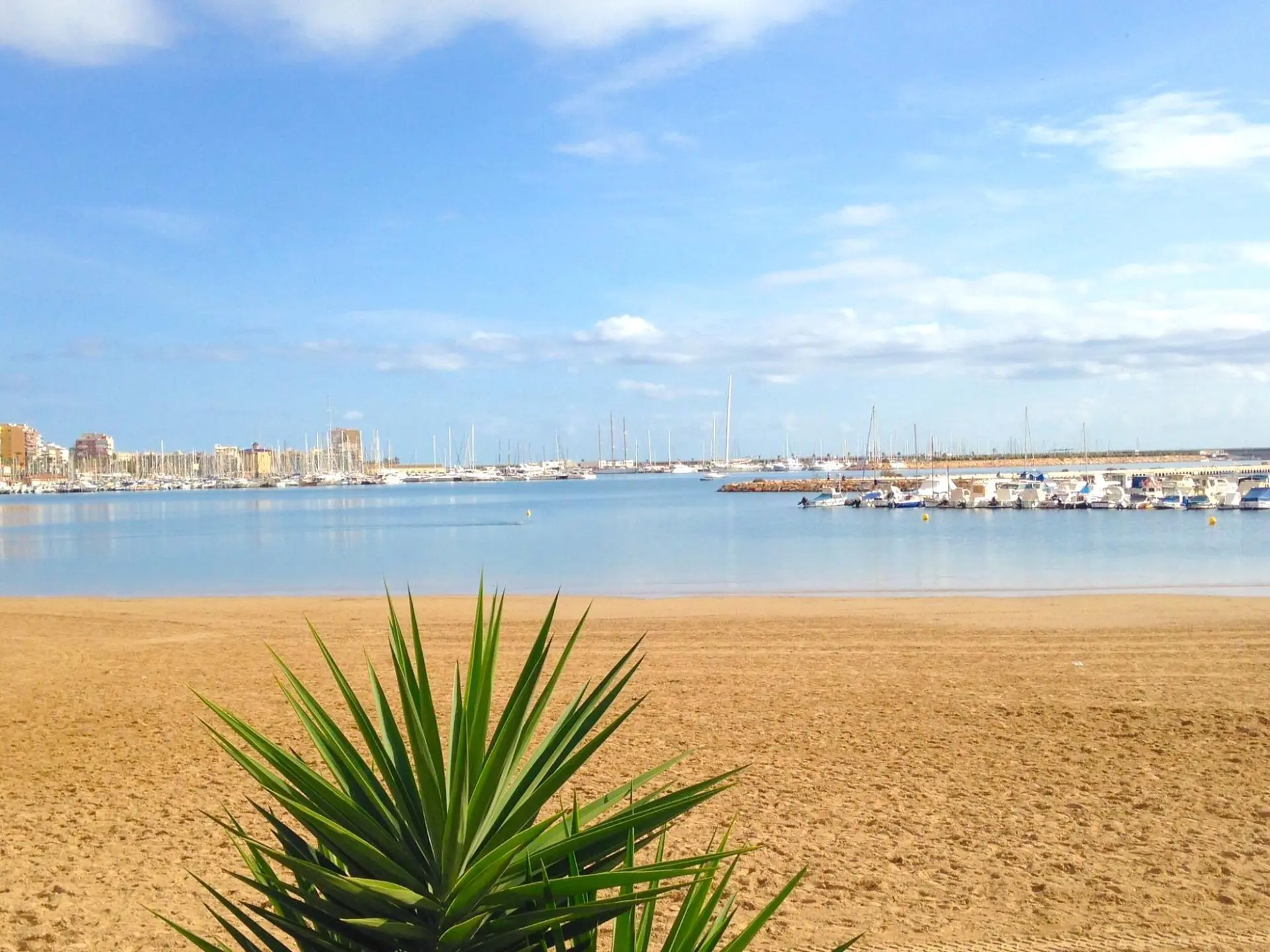 Apartment Of 95 M² In Torrevieja, Spain
