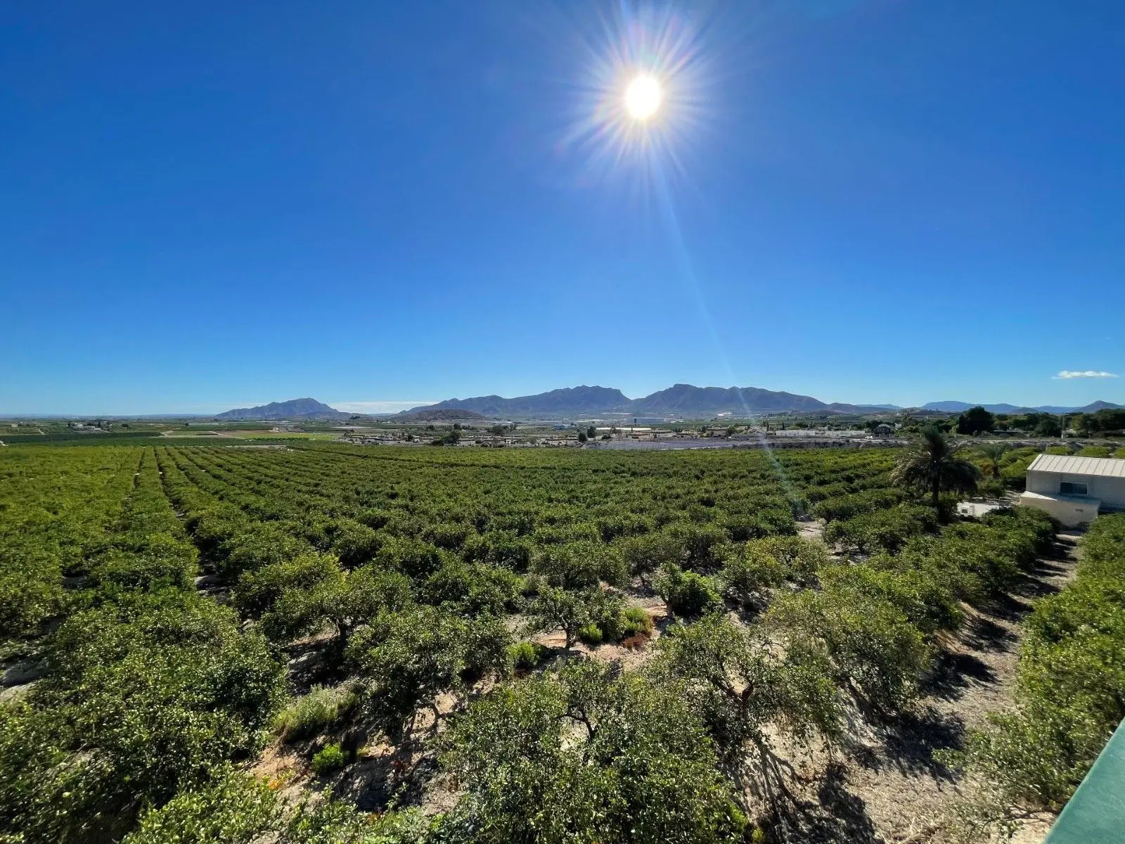 Villa 210 M² In Murcia, Spain – Mediter Real Estate**title:** 3-bed Villa 210 M² In Murcia, Spain