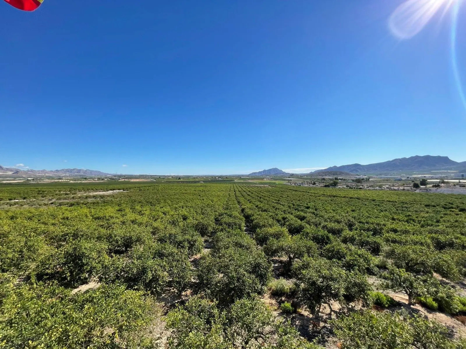 Villa 210 M² In Murcia, Spain – Mediter Real Estate**title:** 3-bed Villa 210 M² In Murcia, Spain