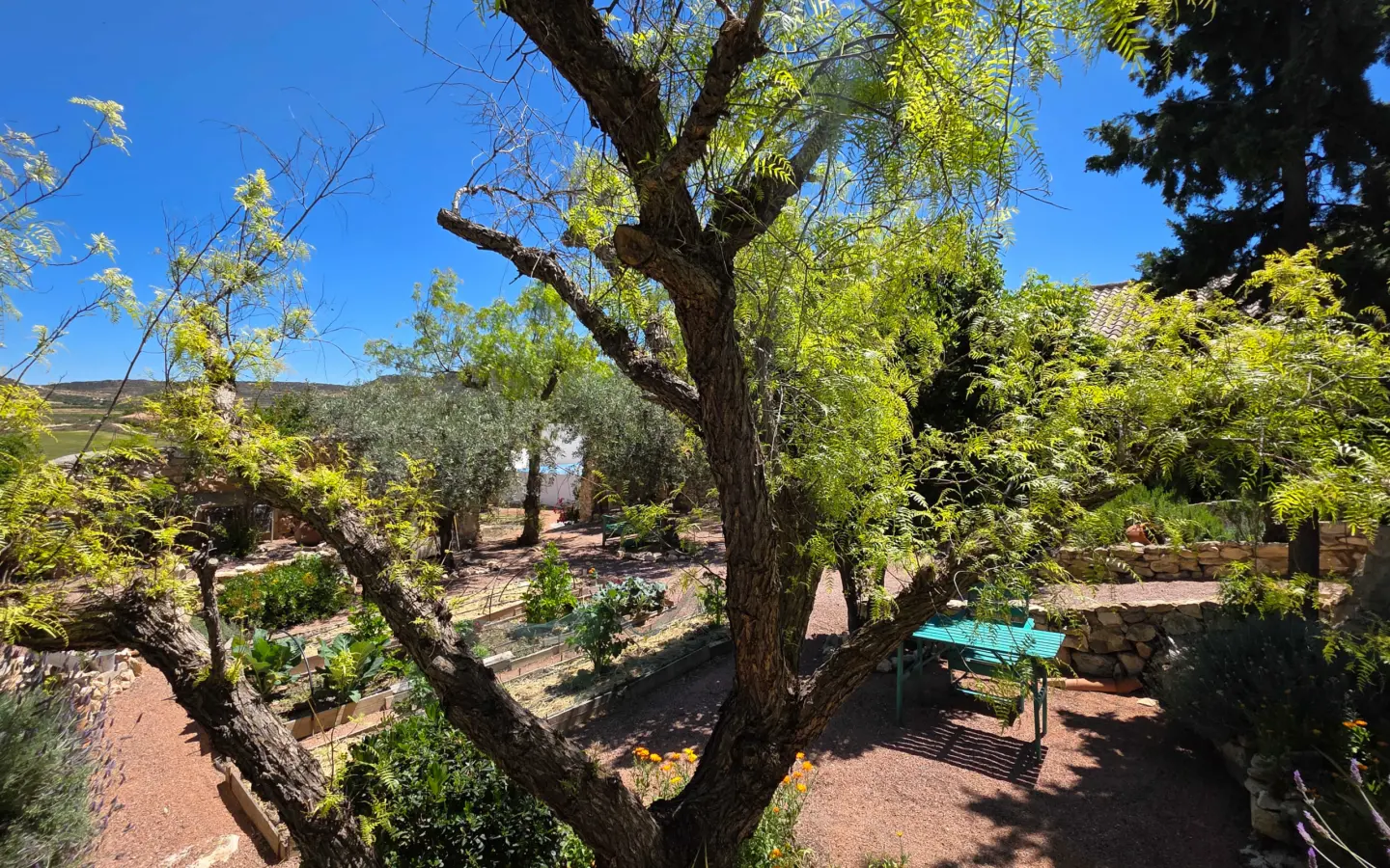 6-bedroom Country House In Torre Del Rico, Spain (400 M²)