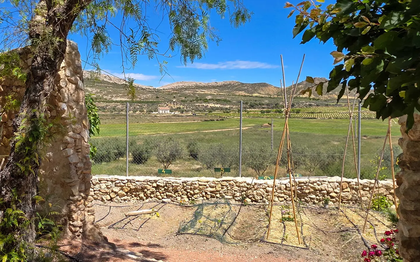 6-bedroom Country House In Torre Del Rico, Spain (400 M²)