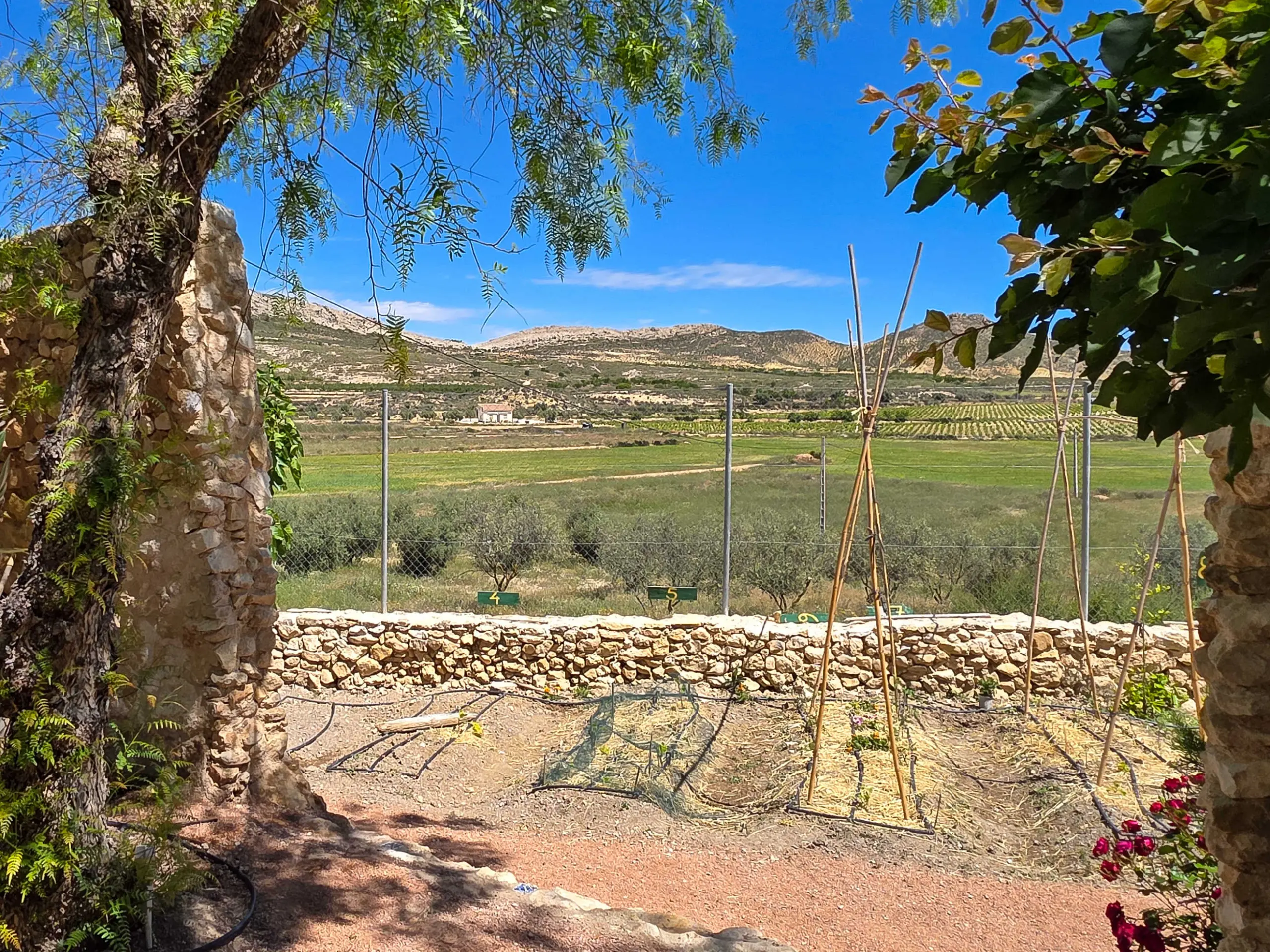 Country House Of 400 M² In Torre Del Rico, Spain