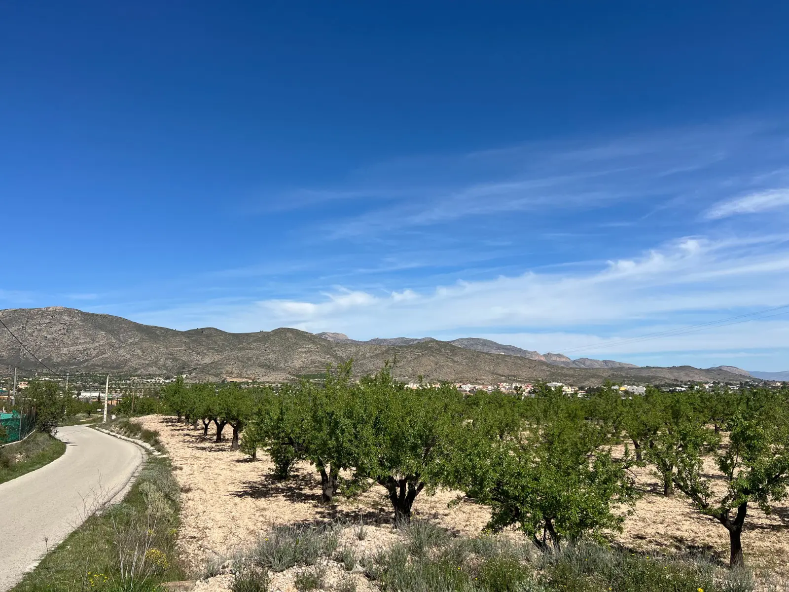 Land Of 0 M² In Hondón De Los Frailes, Spain