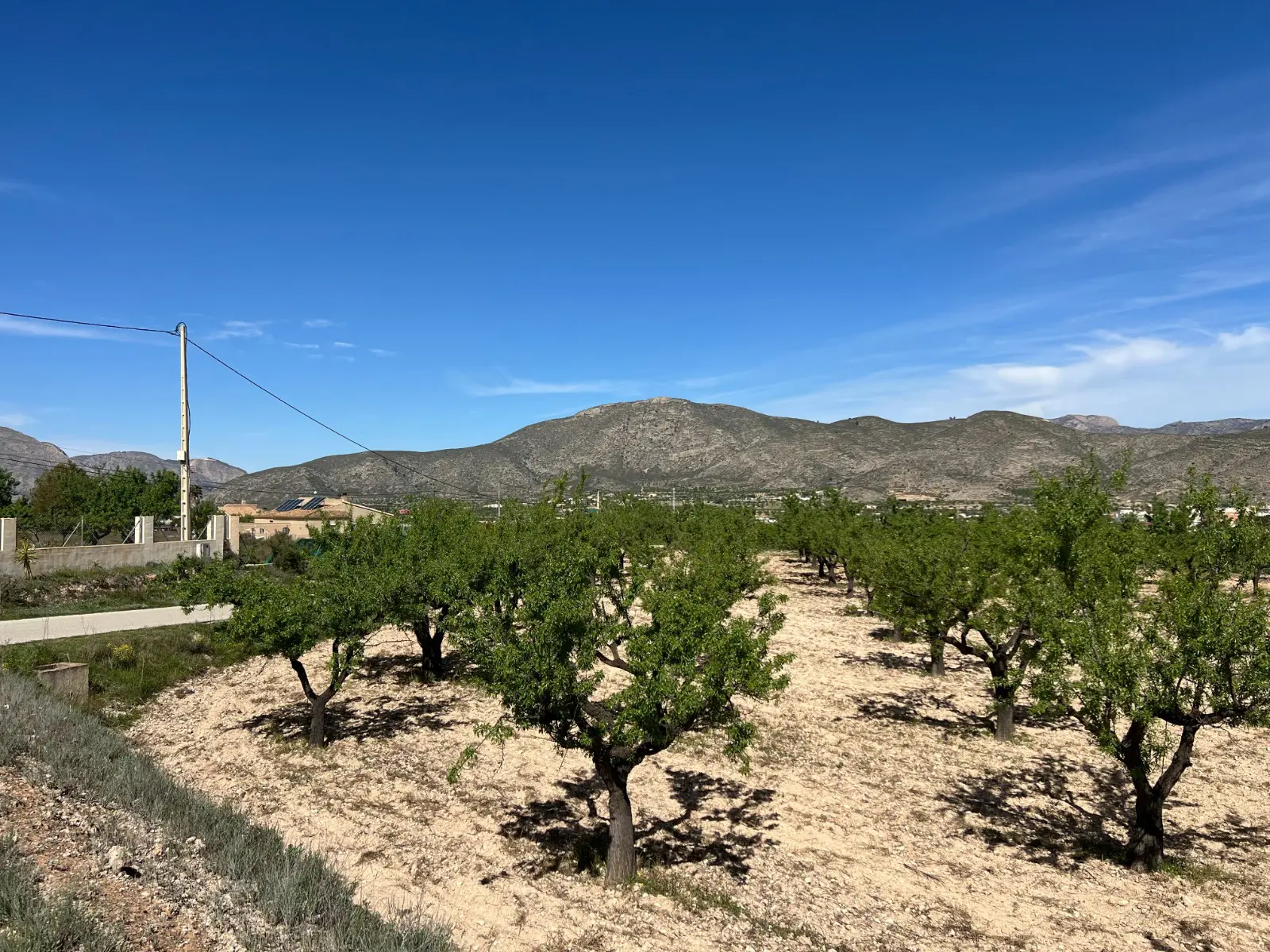 Land Of 0 M² In Hondón De Los Frailes, Spain
