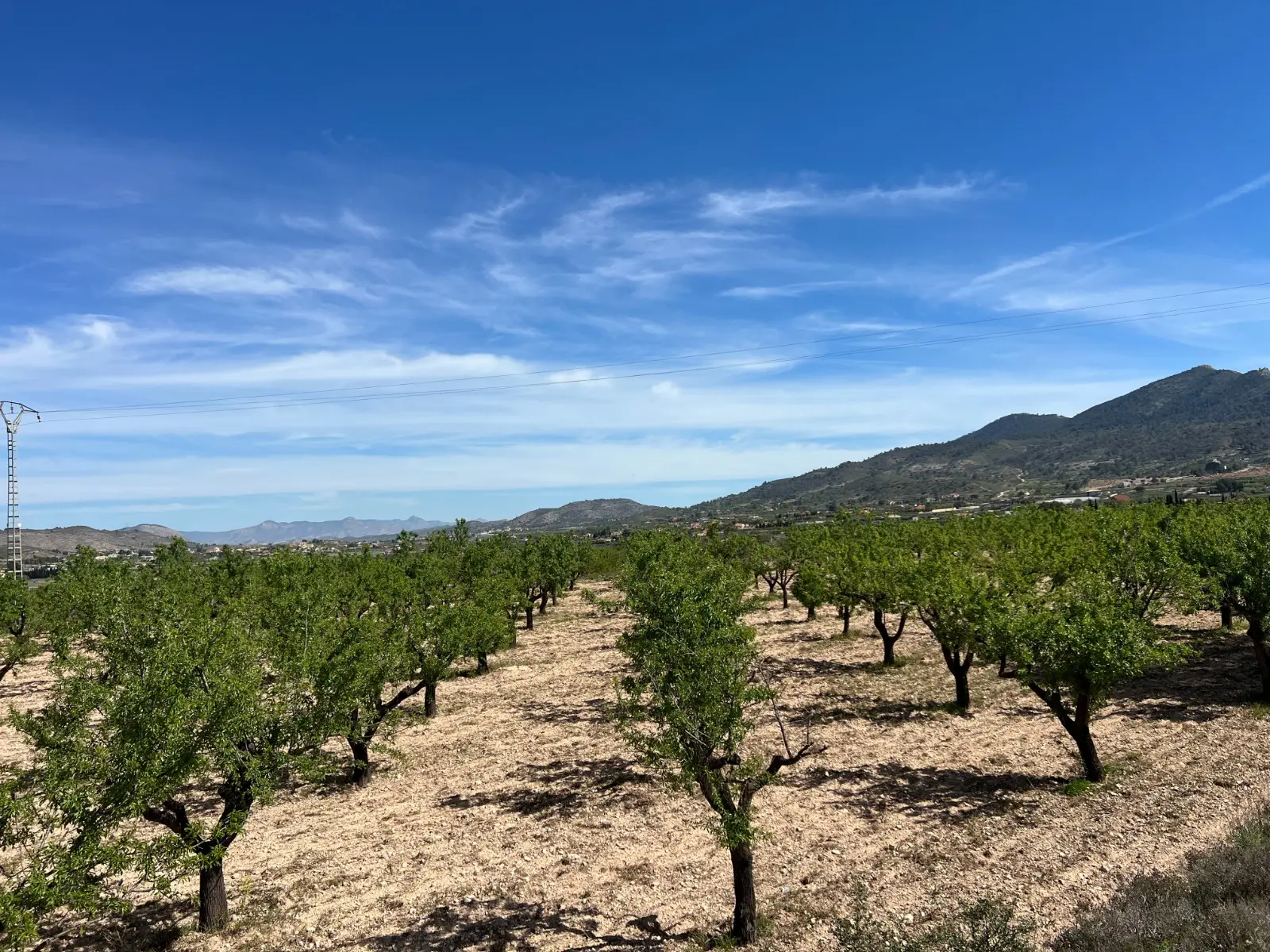 Land Of 0 M² In Hondón De Los Frailes, Spain