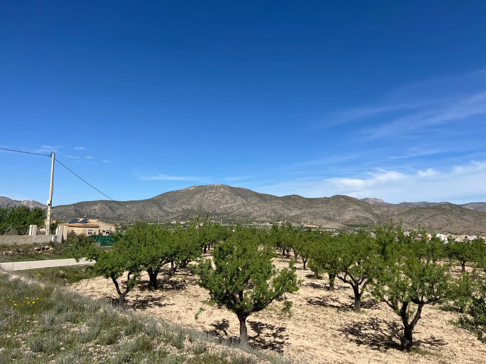 Land Of 0 M² In Hondón De Los Frailes, Spain