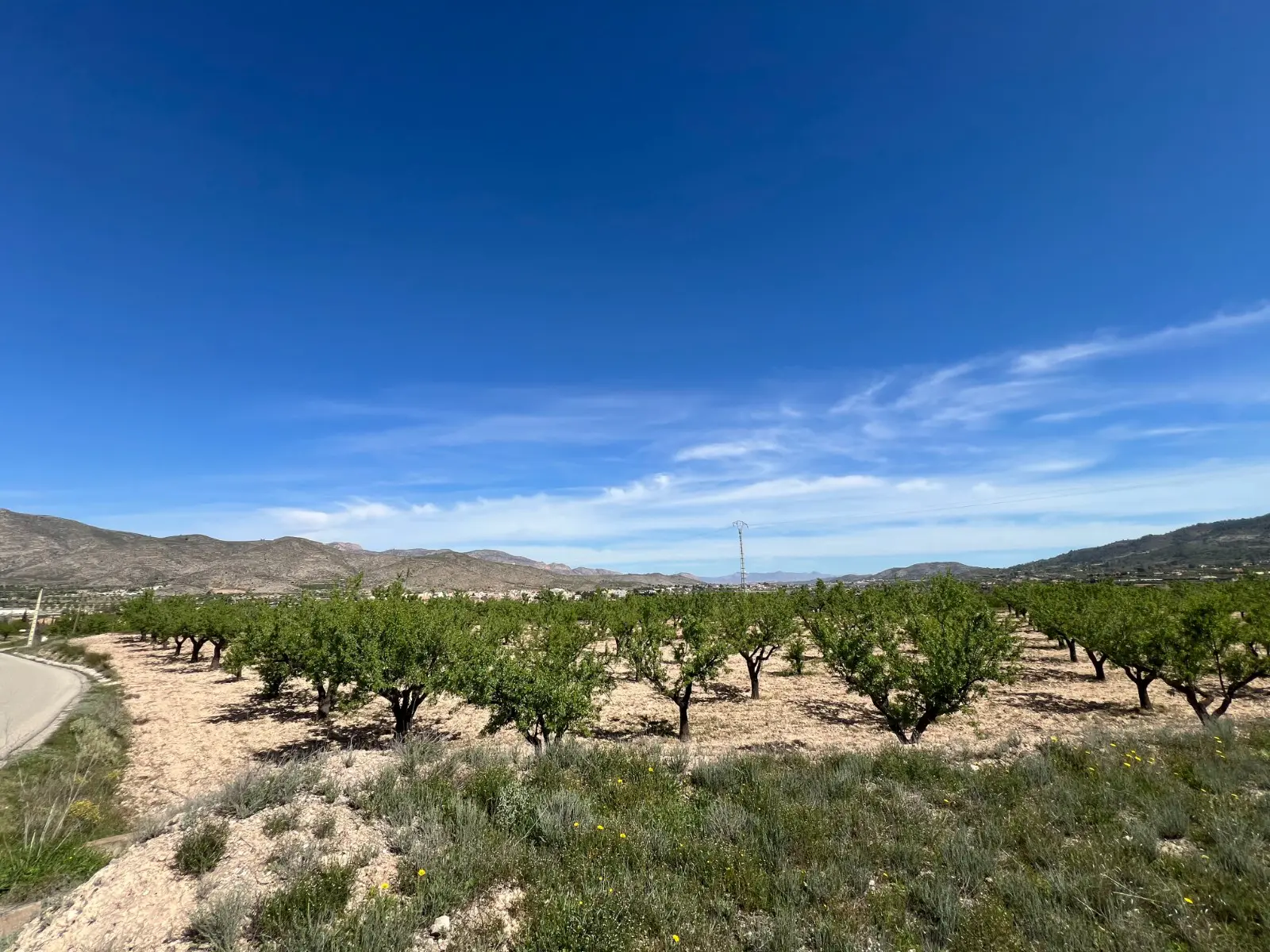 Land Of 0 M² In Hondón De Los Frailes, Spain