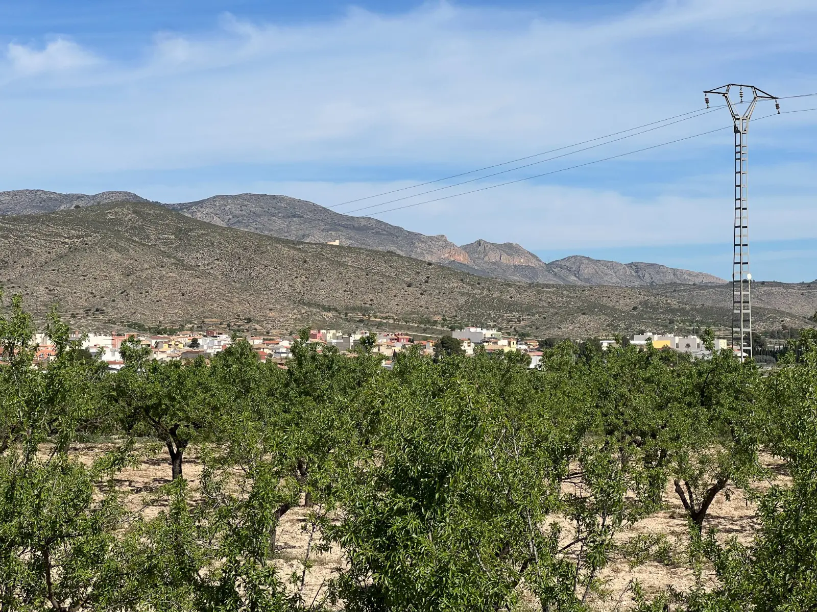 Land Of 0 M² In Hondón De Los Frailes, Spain