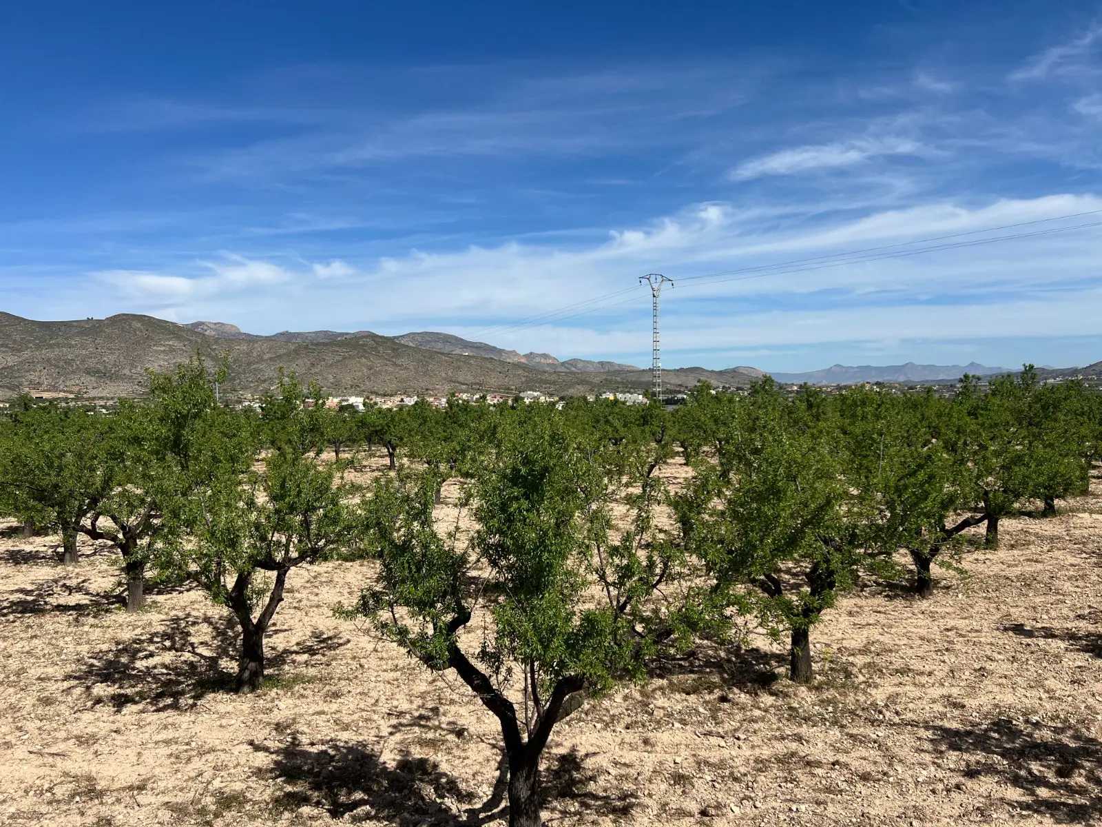 Land Of 0 M² In Hondón De Los Frailes, Spain
