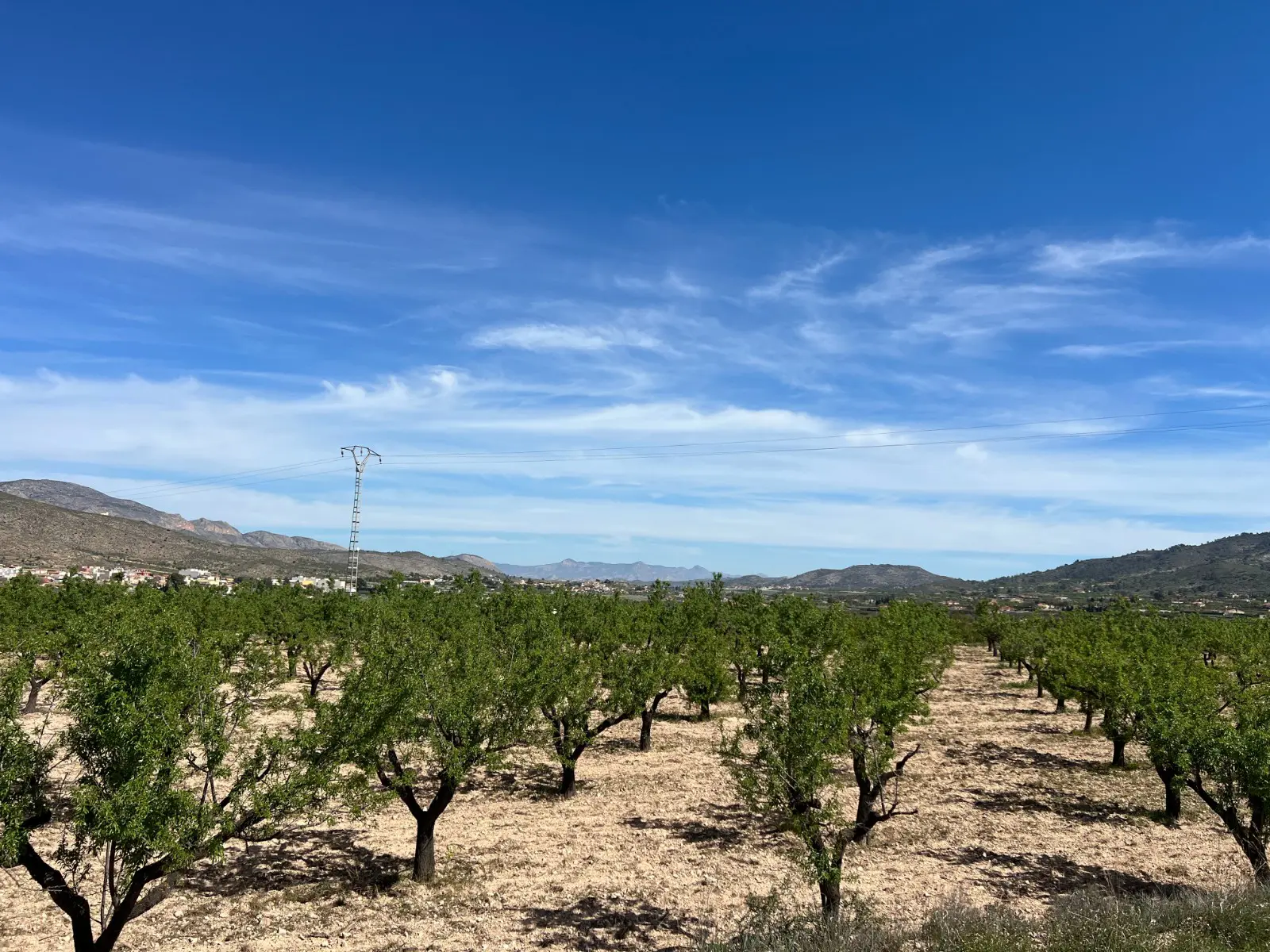 Land Of 0 M² In Hondón De Los Frailes, Spain