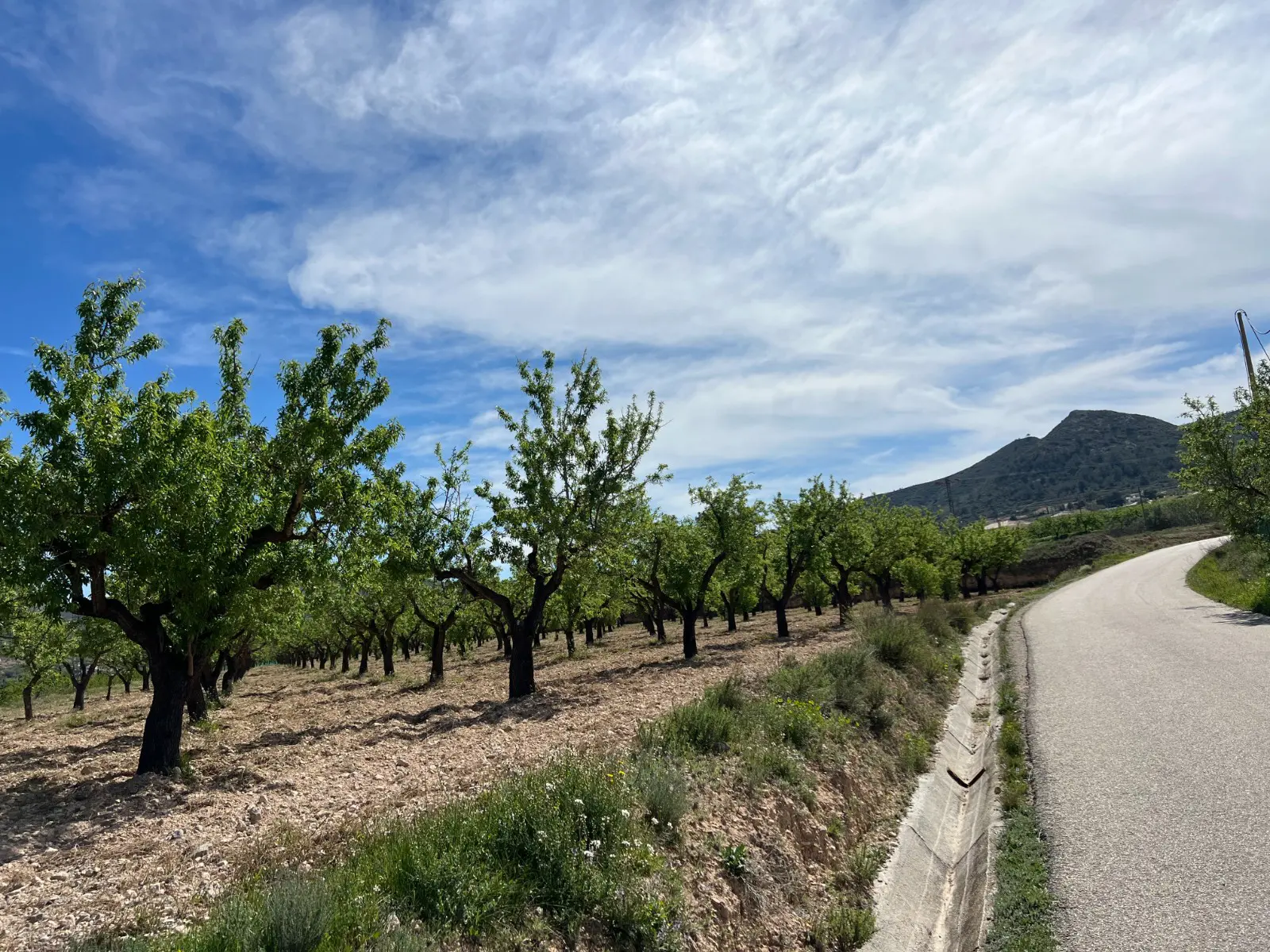 Land Of 0 M² In Hondón De Los Frailes, Spain