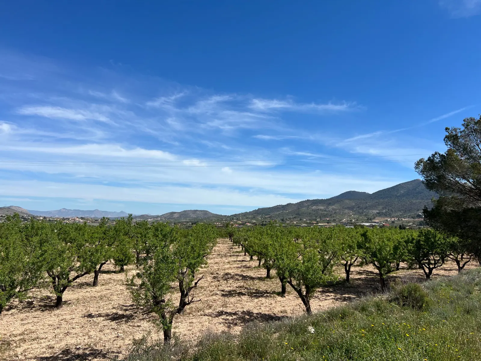 Land Of 0 M² In Hondón De Los Frailes, Spain