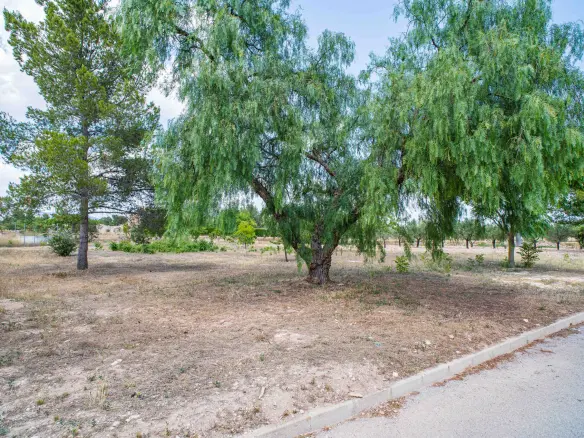 Land Of 0 M² In Pinoso, Spain