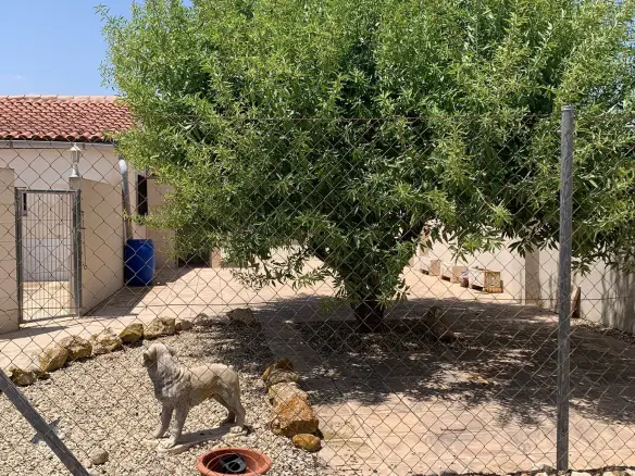 4-bedroom Commercial In Salinas, Spain (252 M²)