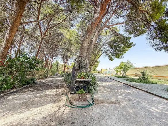 4-bedroom Detached Villa In Yecla, Spain (320 M²)