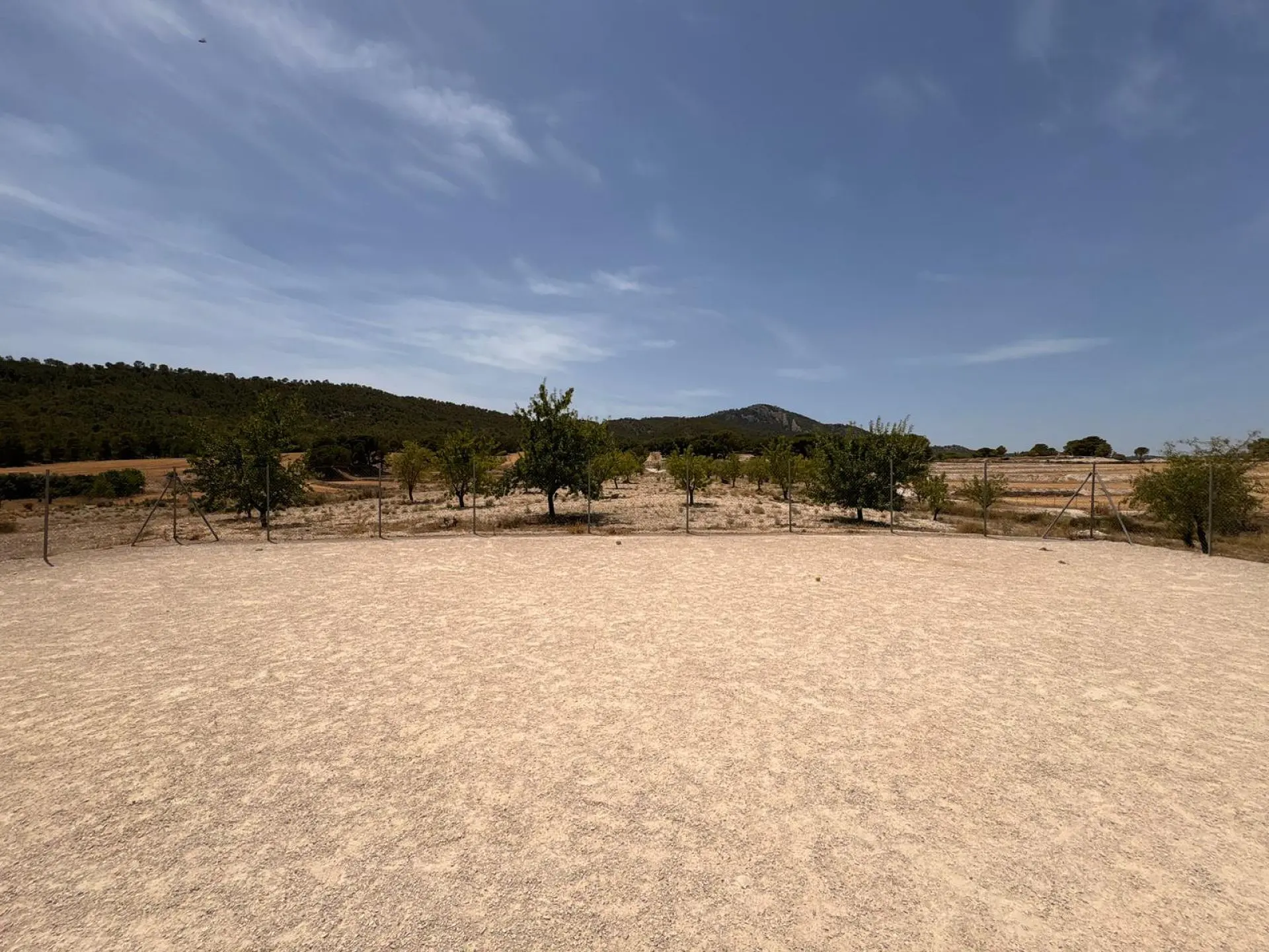 Commercial Of 0 M² In Salinas, Spain